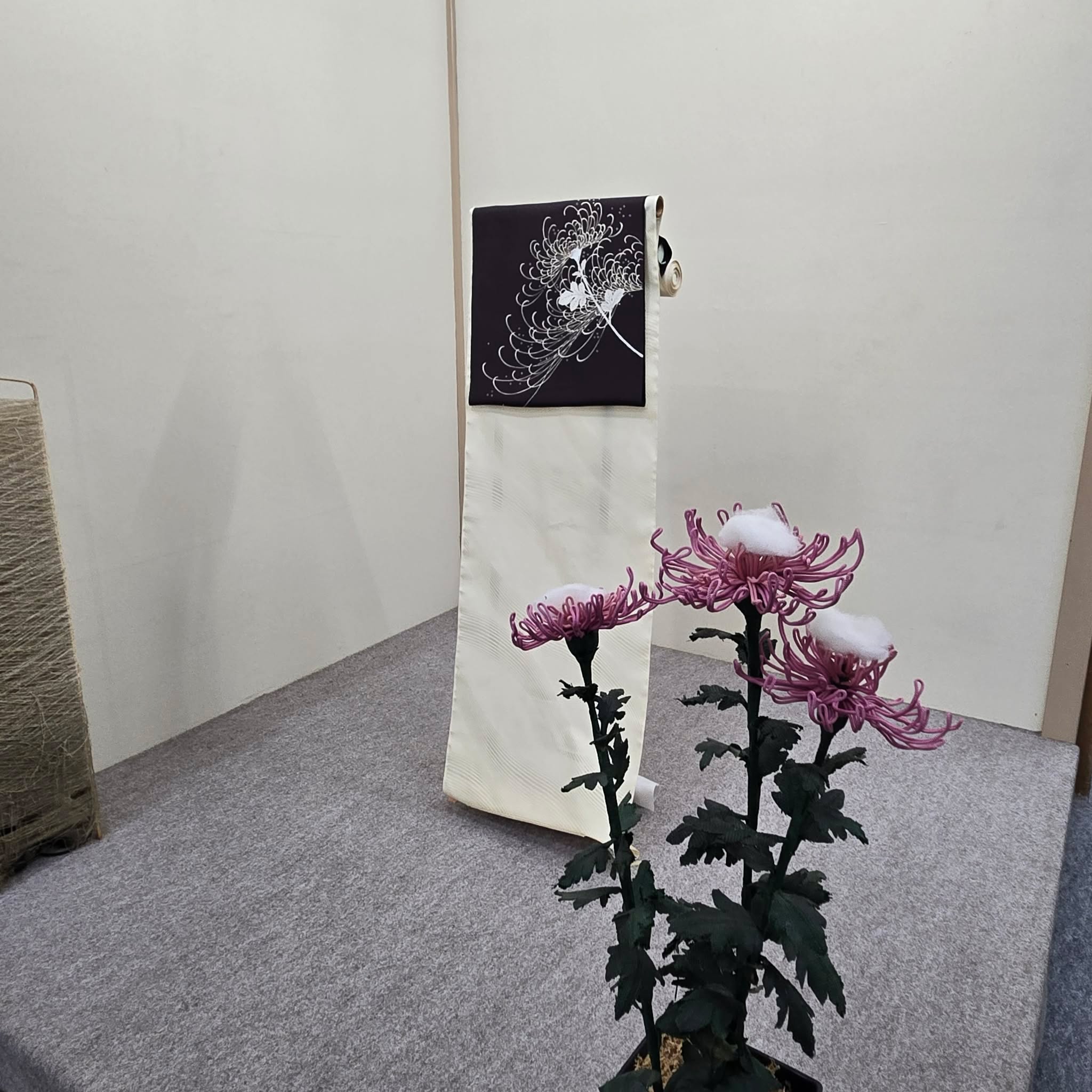 20260909-4.jpg