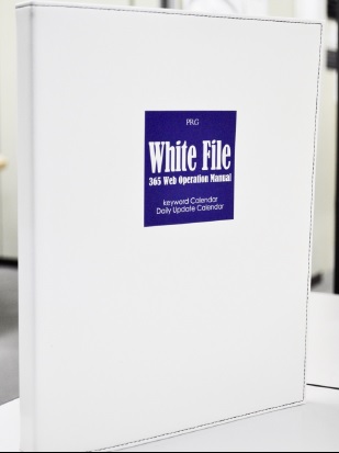 whitefilelp3.jpg