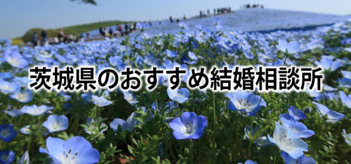 【2019】茨城でおすすめの結婚相談所16選&婚活情報まとめ
