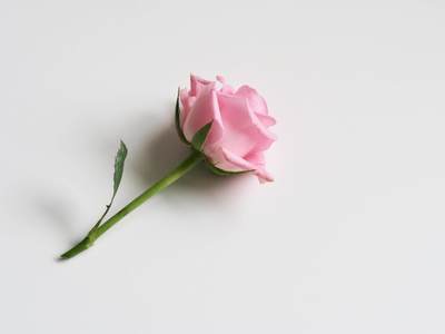 独身E子が「結婚できない理由」と「結婚できない女の特徴」を考えてみた