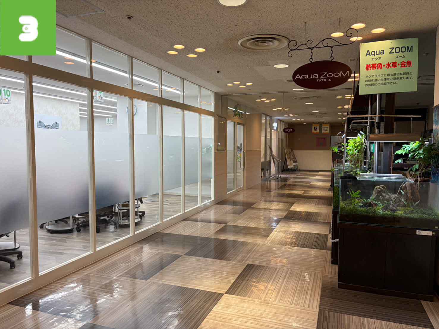 道案内3