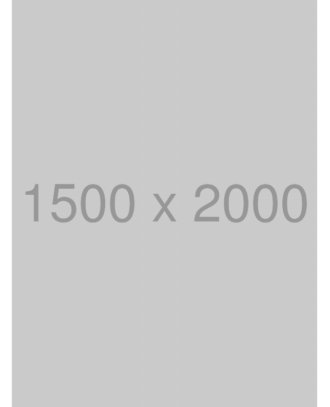 プリントシャツワンピース