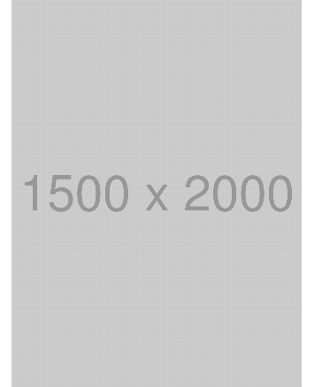 プリントシャツワンピース