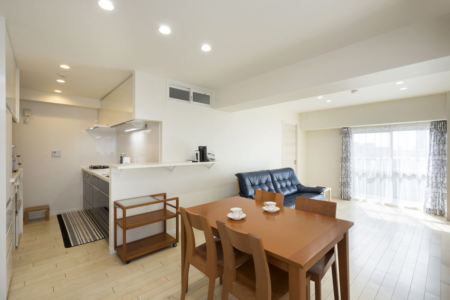 Small  hp 3666 for web