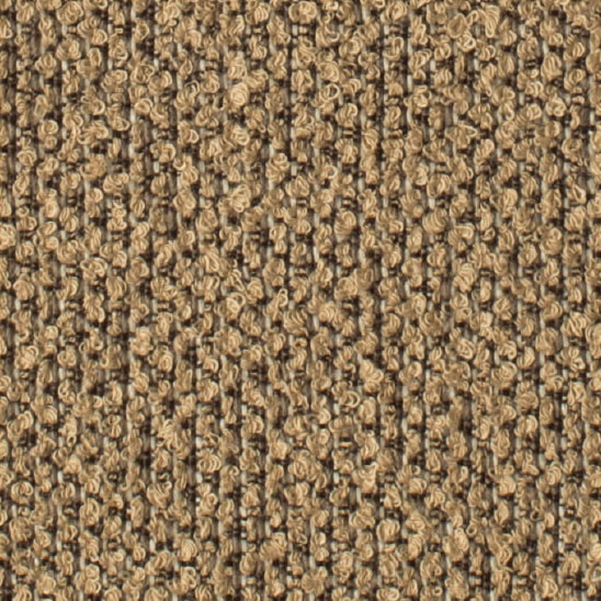 N06c