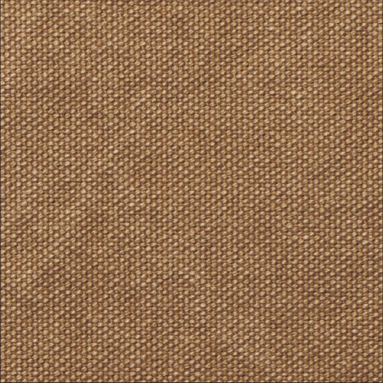 Tn01b