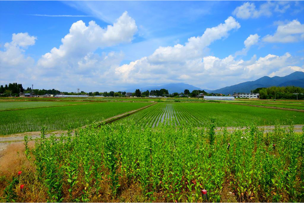 田園風景