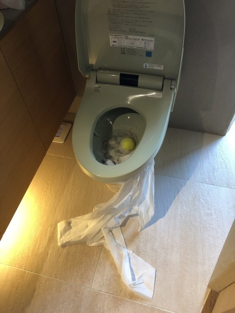 今日は何を・・・4