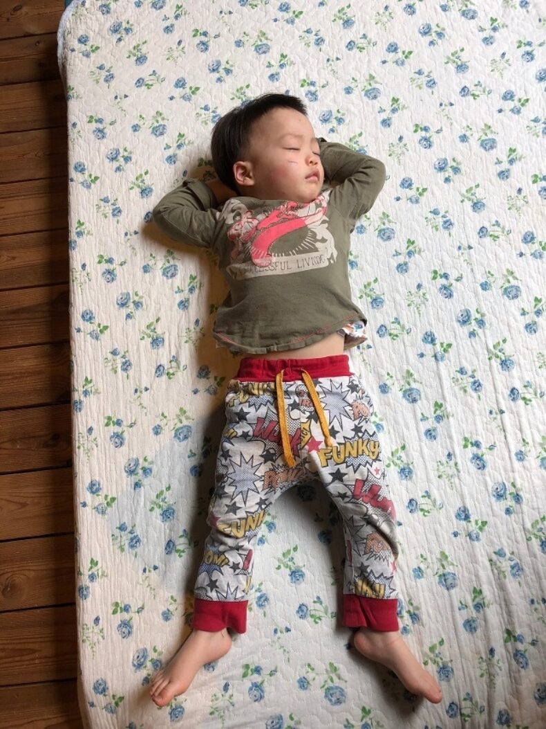 器用に大胆に2