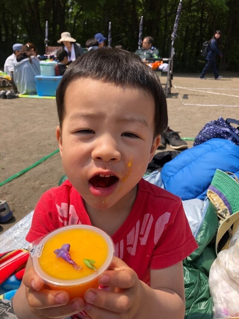 為せば成る4