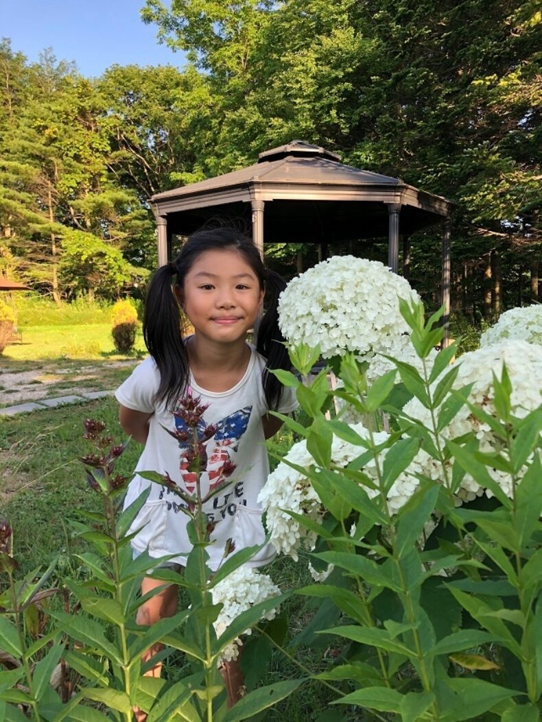 夏の贅沢2