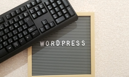 【初心者向け】WordPressの検索機能を自作する方法とカスタマイズ方法を解説!
