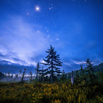 negi@mstdn.tokyocameraclub.com