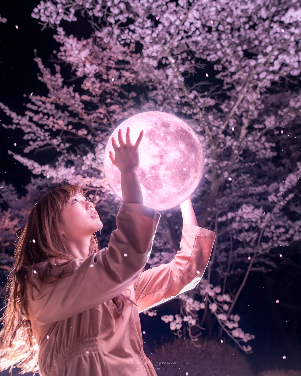 Masaya Kitamura 桜 Pinkmoon 写真の満月は満月のライトではなく Photoshopによる魔法 合成 東京カメラ部