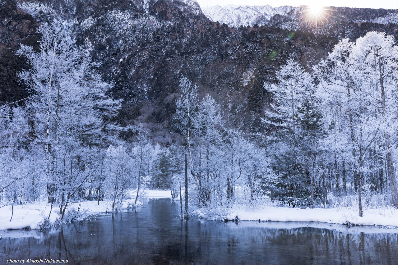 Akitoshi Nakashima 朝日現る霧氷の田代池 Tokyocameraclub Mstdn Tokyoca 東京カメラ部