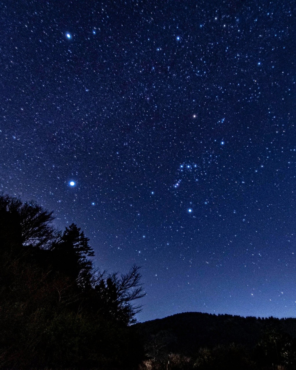 オリオン座 東京カメラ部