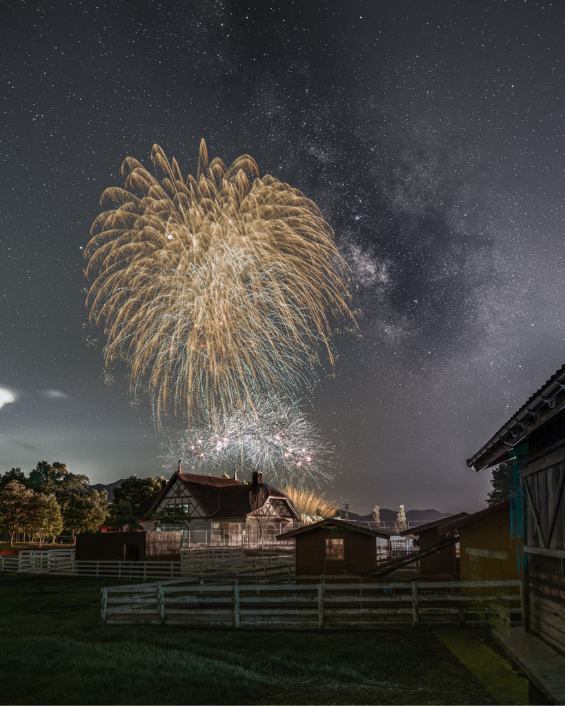 しんご 星降る花火 Tokyocameraclub 東京カメラ部 しんご 星降る花火 Tokyocameraclub 東京カメラ部