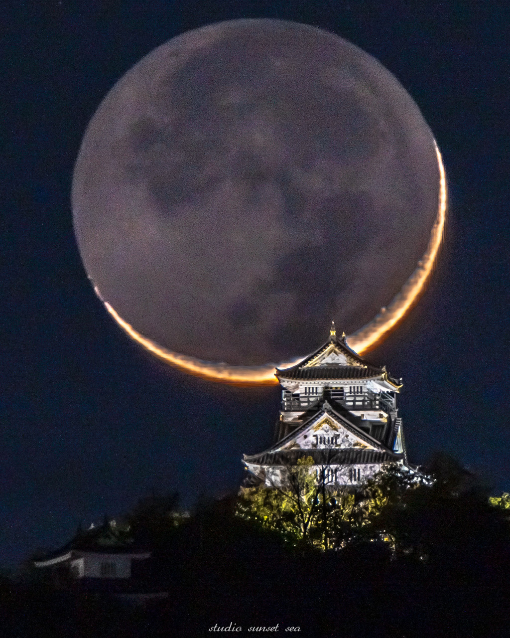 夕海: 