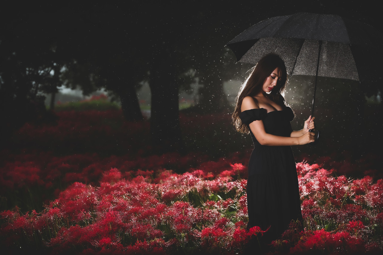 Sy Fuk 24 彼岸花 大分県 Tokyocameraclub 写真好きな人と繋がりたい カメラ 東京カメラ部 Sy Fuk 24 彼岸花 大分県 Tokyocameraclub 写真好きな人と繋がりたい カメラ 東京カメラ部