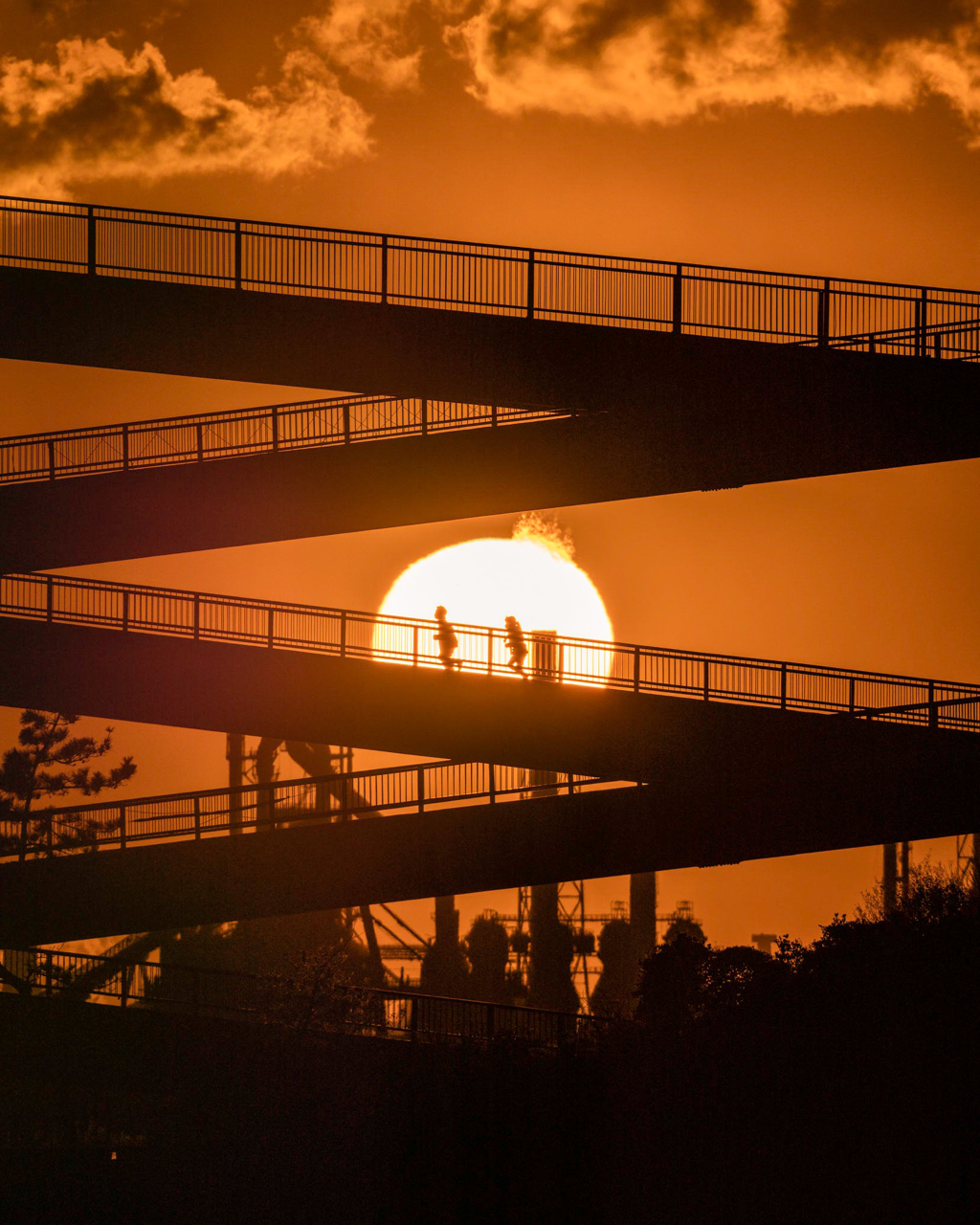 Sorry, no caption provided by author