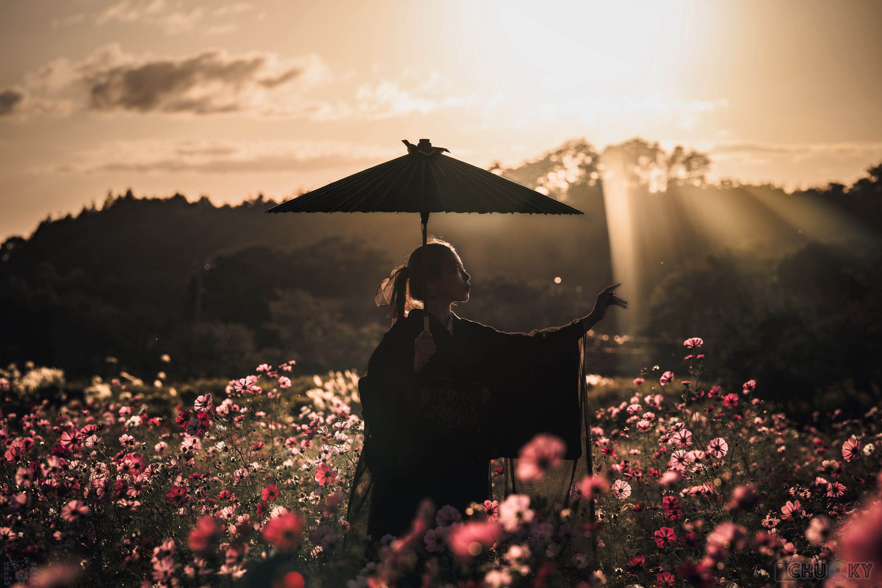 Sorry, no caption provided by author