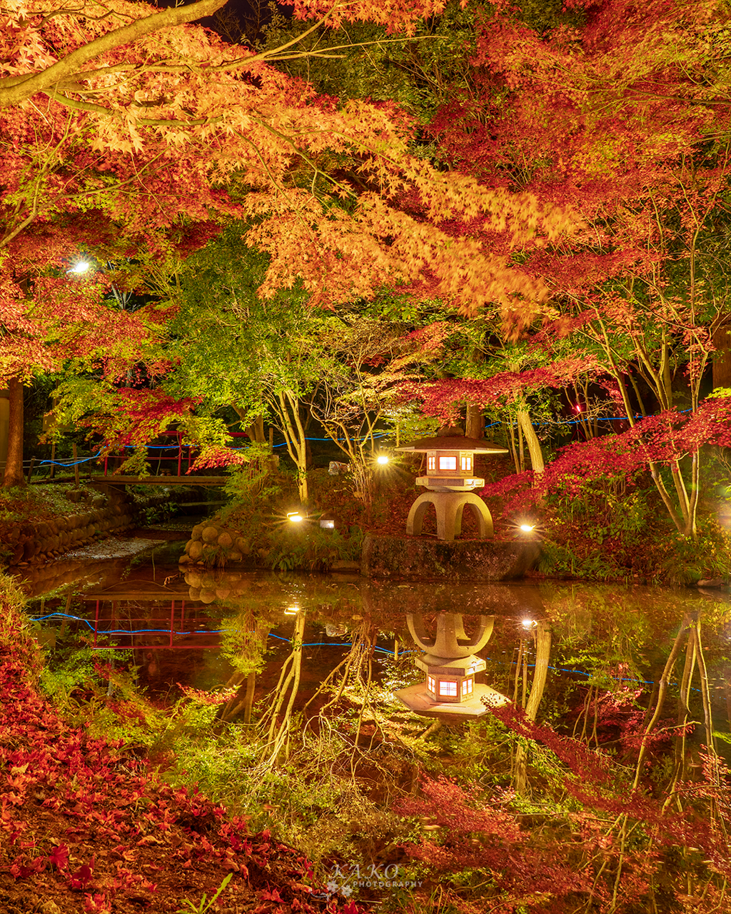 Sorry, no caption provided by author