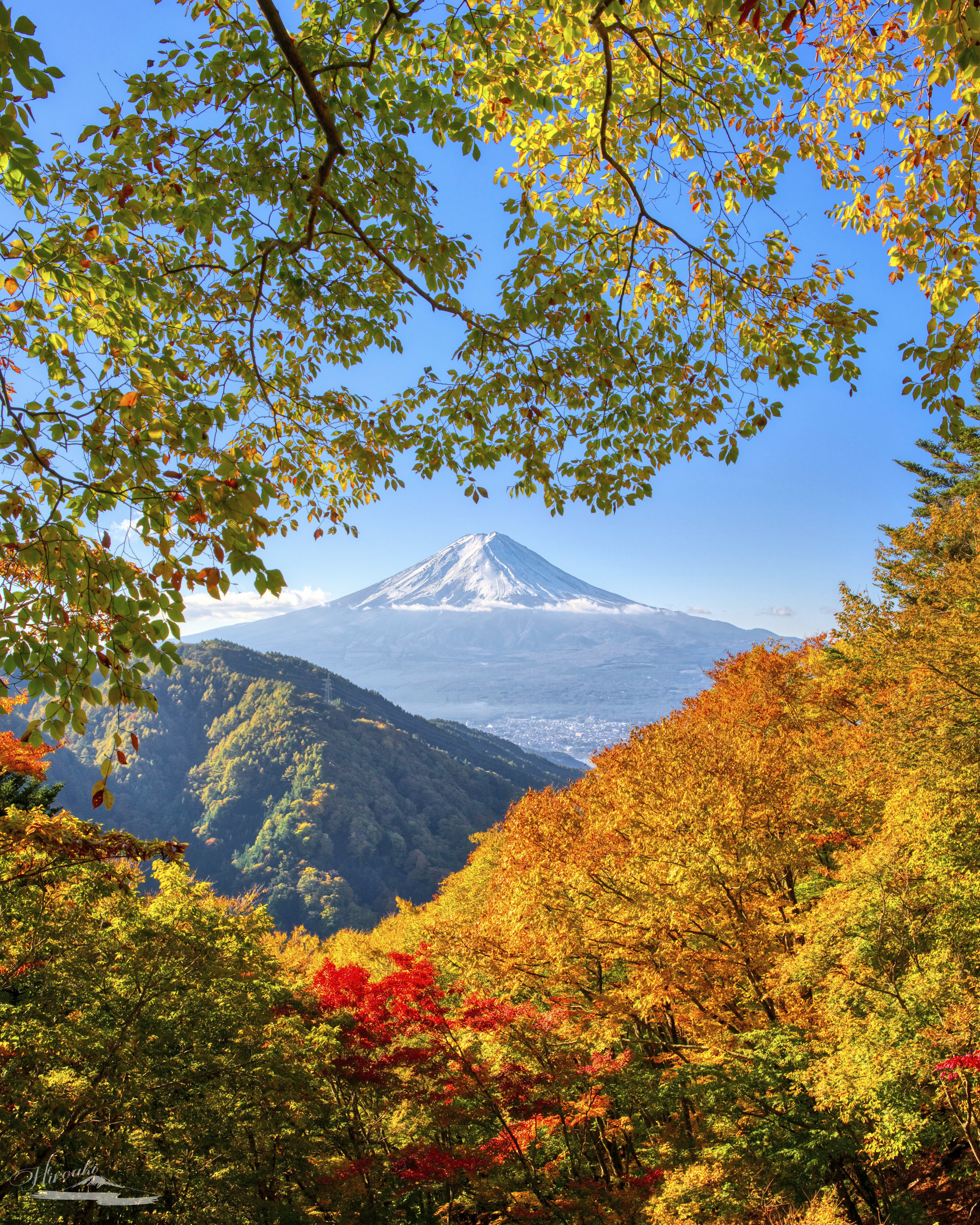 Sorry, no caption provided by author