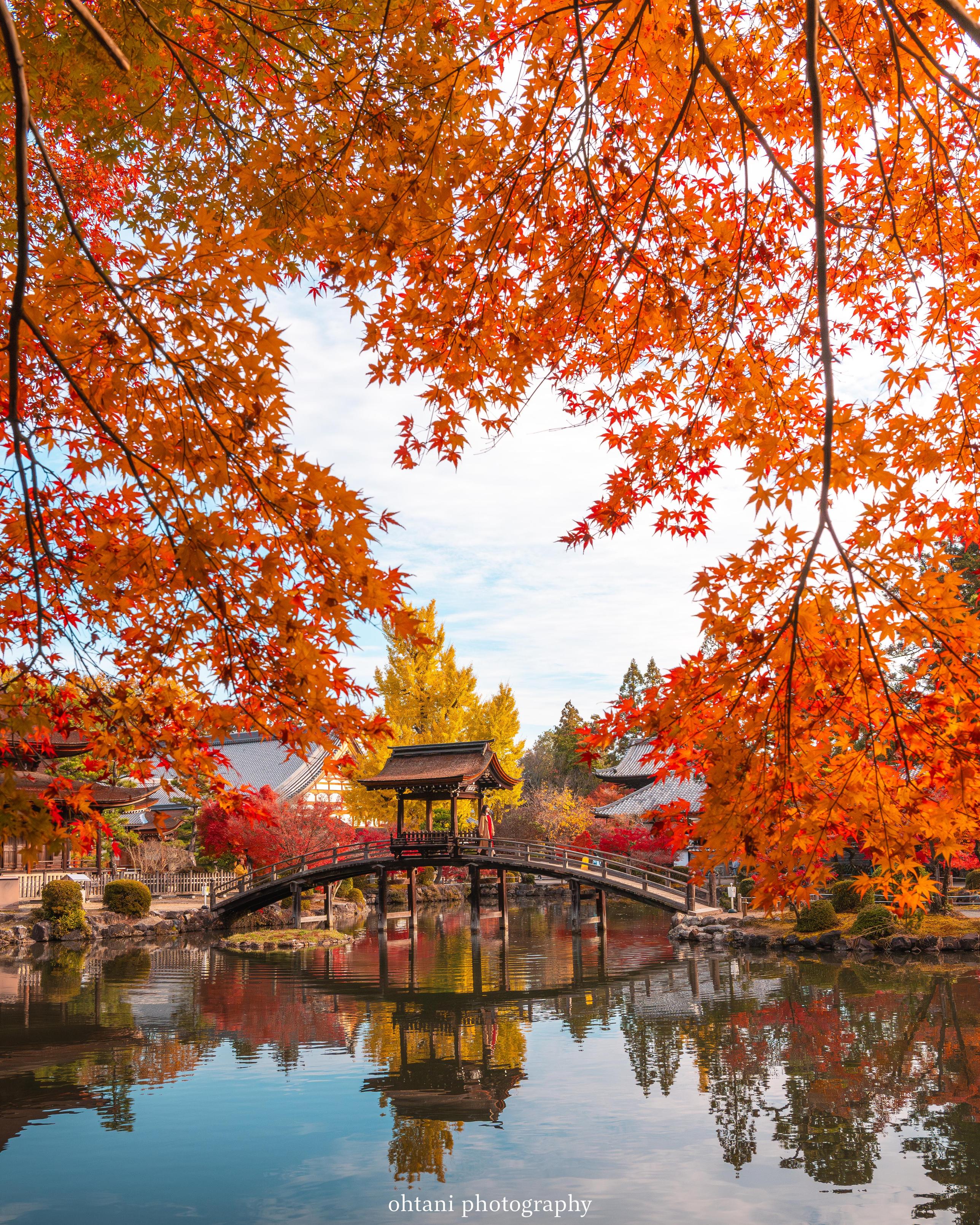 Sorry, no caption provided by author