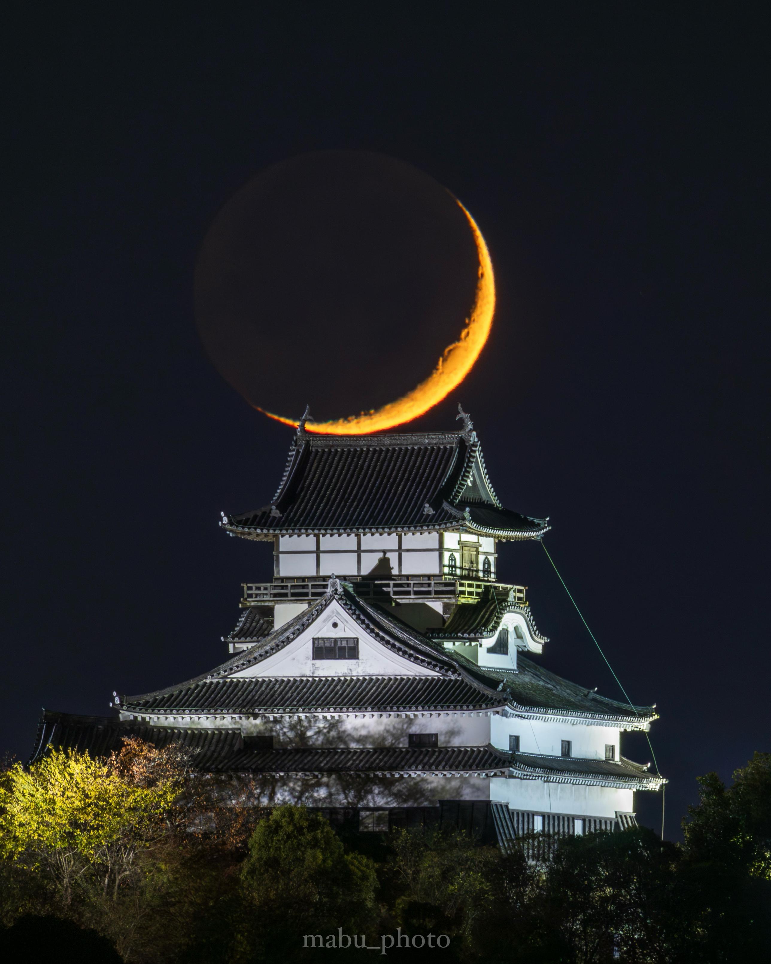 Sorry, no caption provided by author