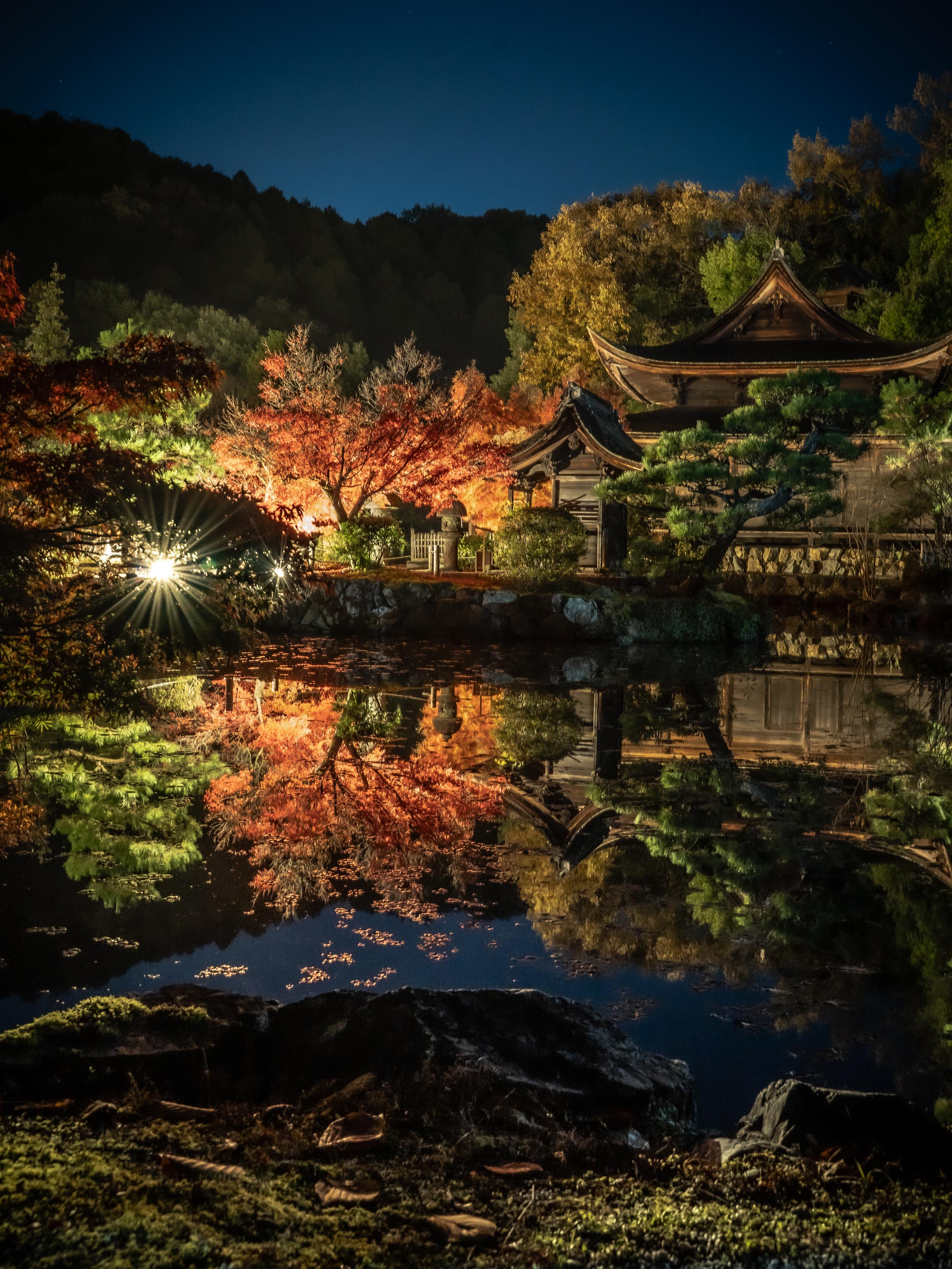 Sorry, no caption provided by author