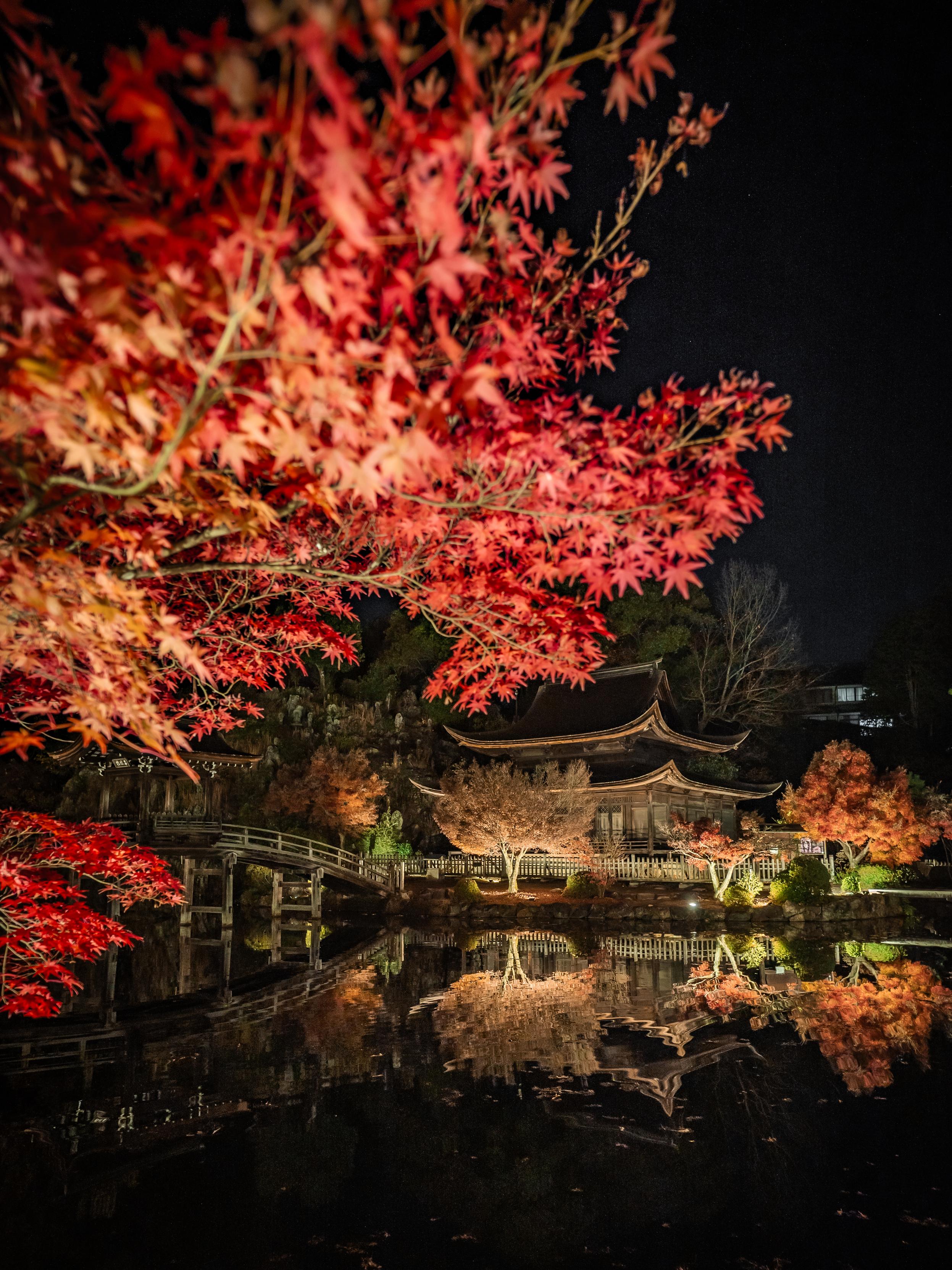 Sorry, no caption provided by author