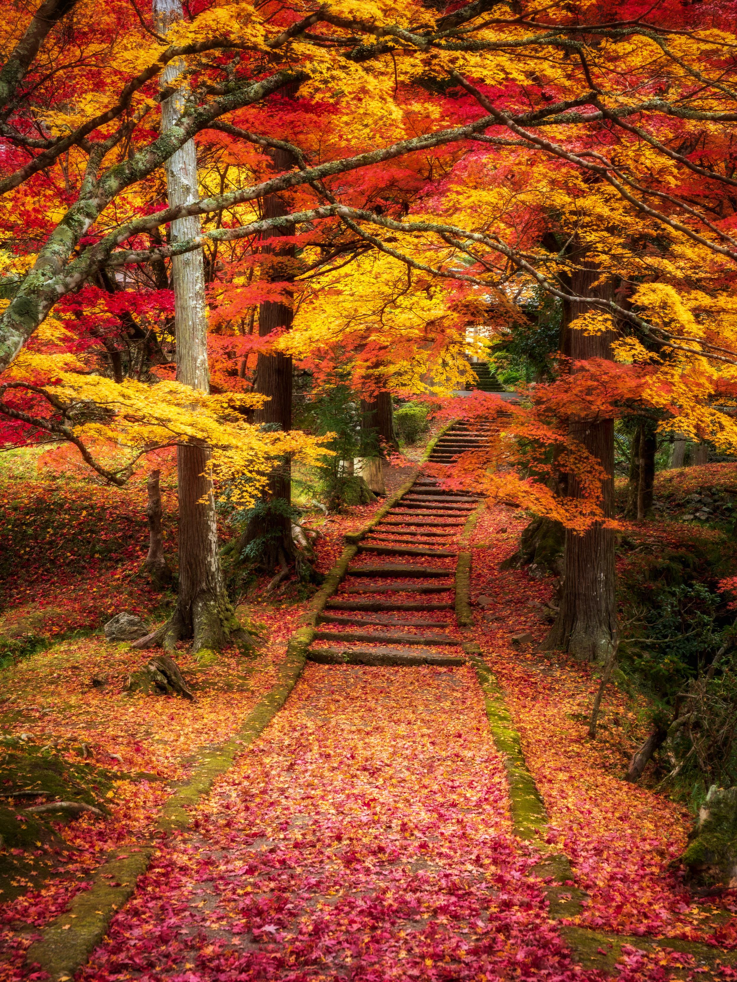 Sorry, no caption provided by author