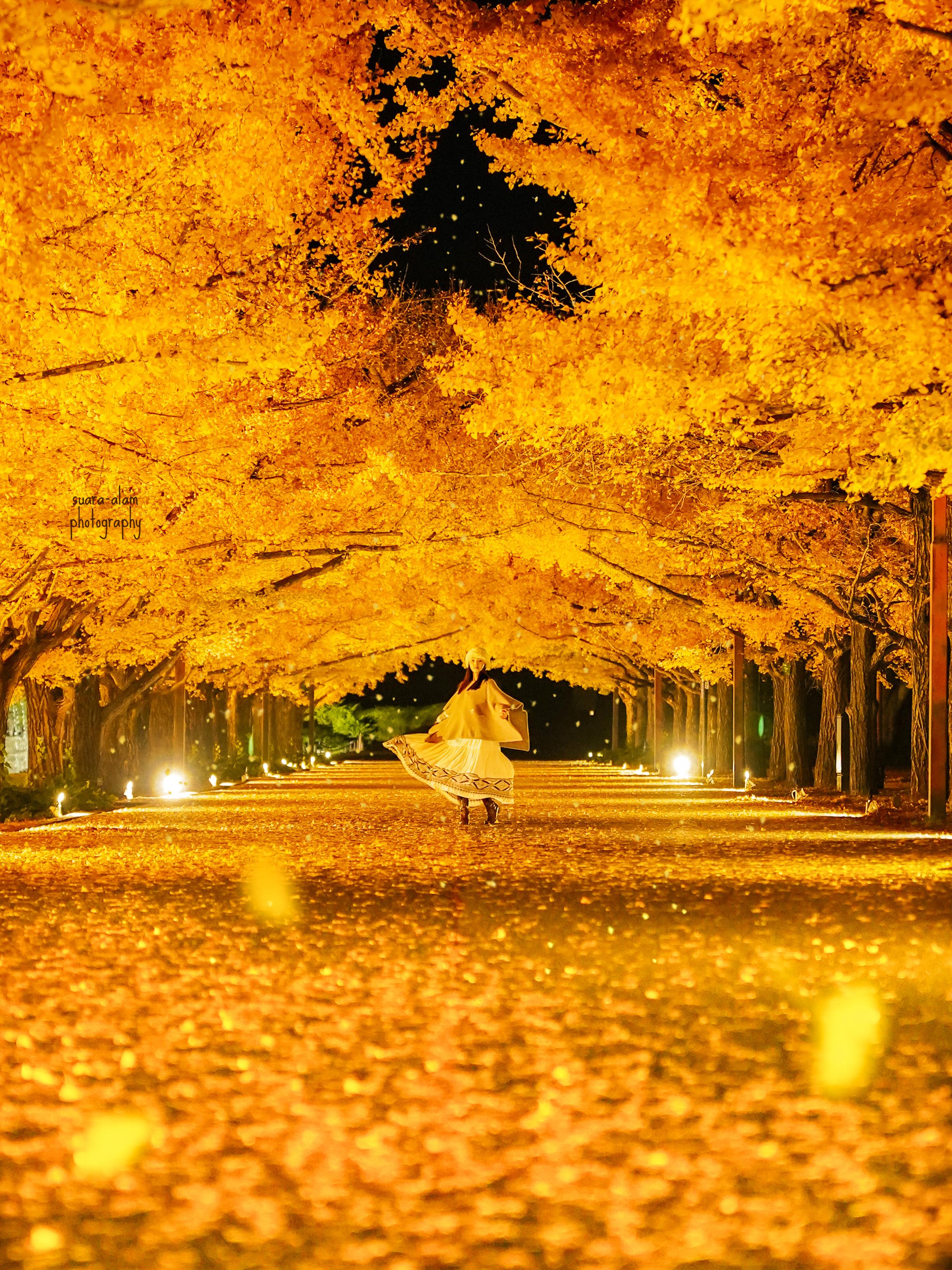 Sorry, no caption provided by author