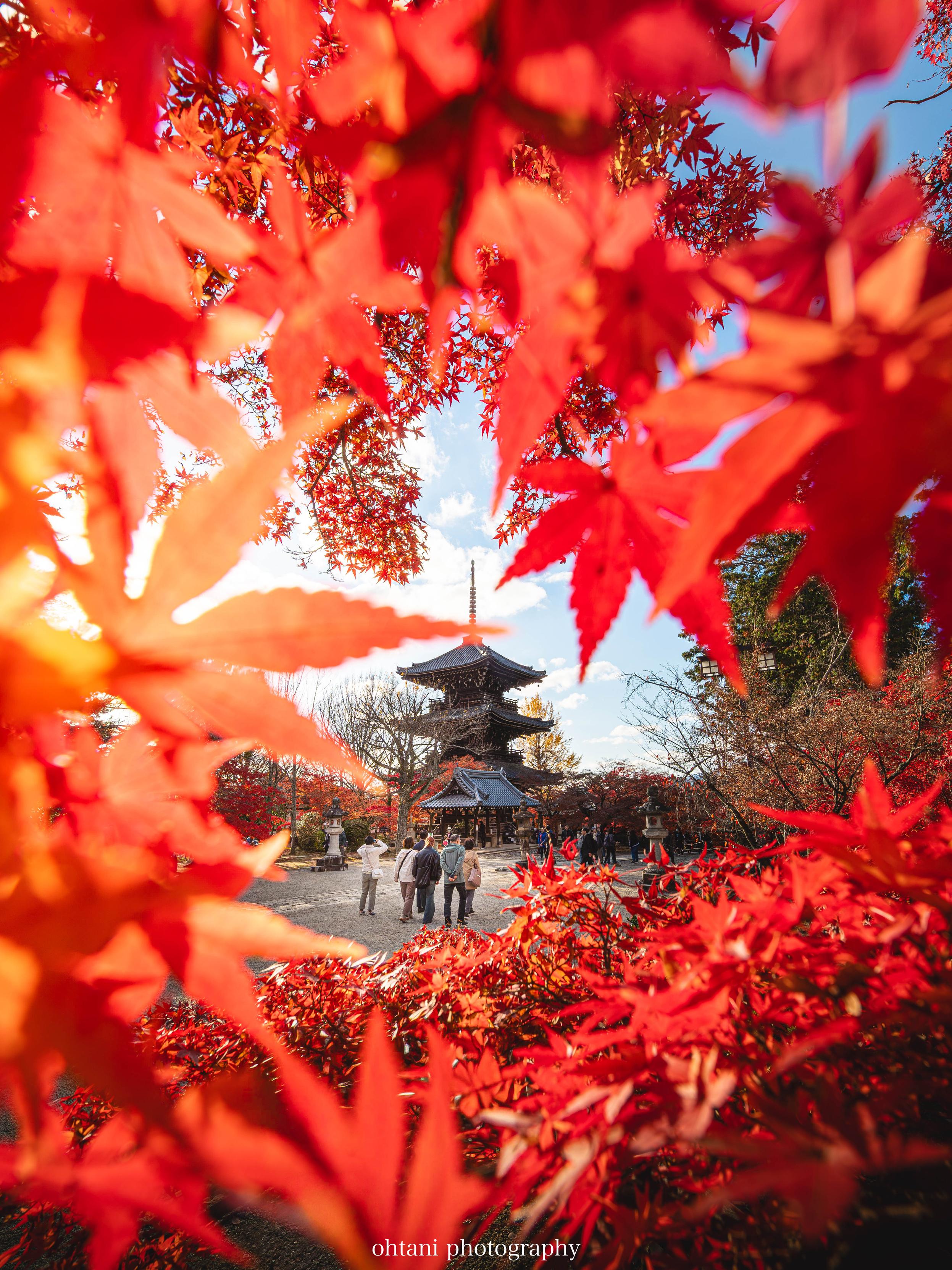 Sorry, no caption provided by author