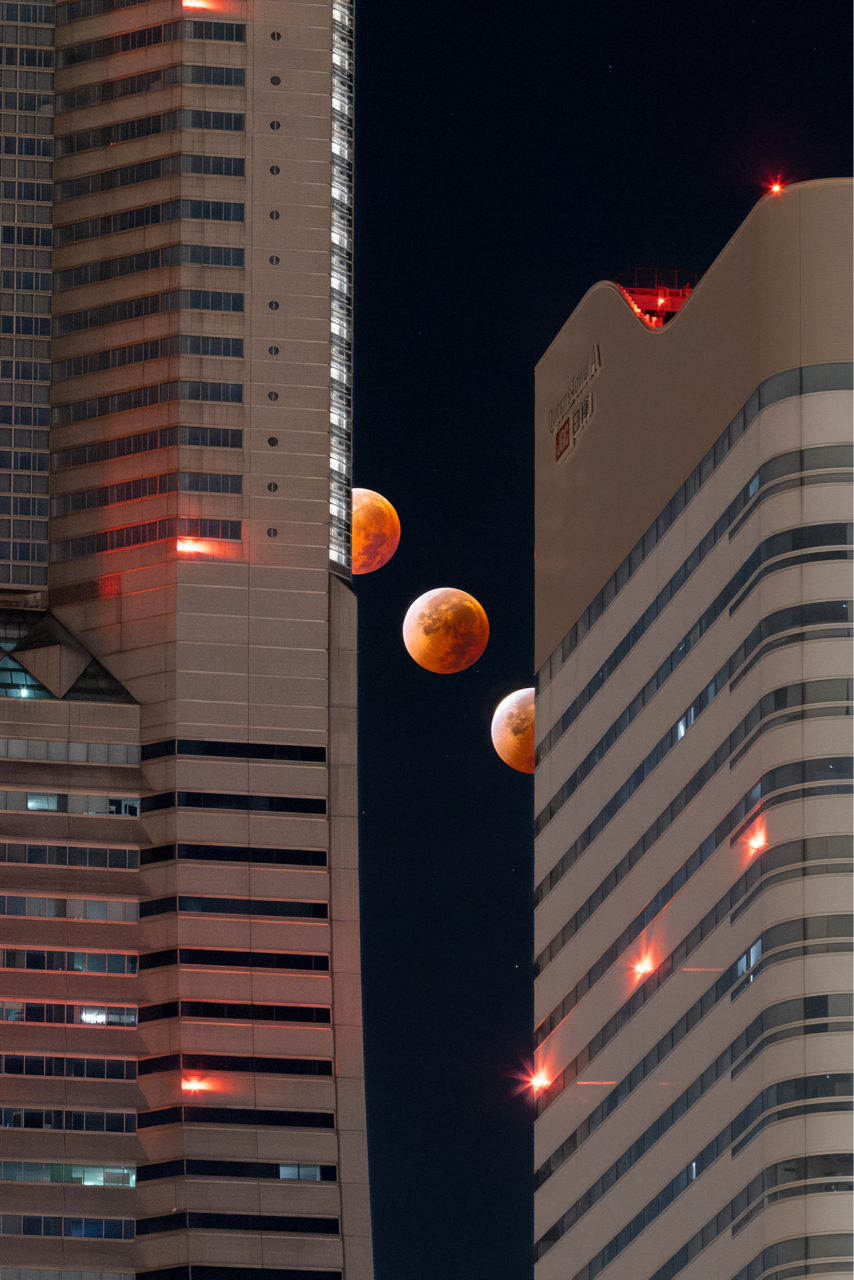 Sorry, no caption provided by author