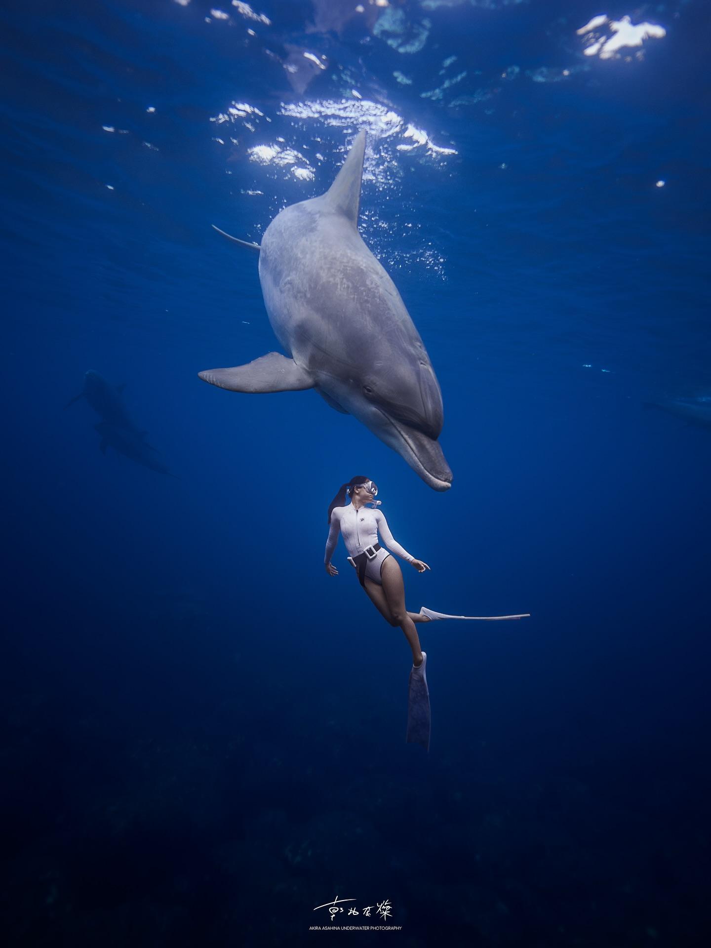 Sorry, no caption provided by author