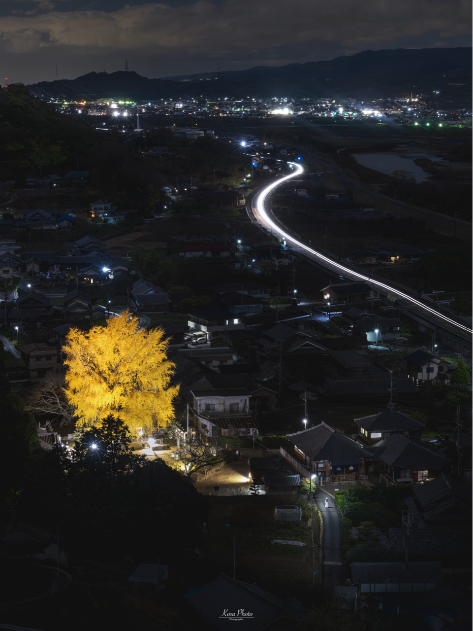 Sorry, no caption provided by author