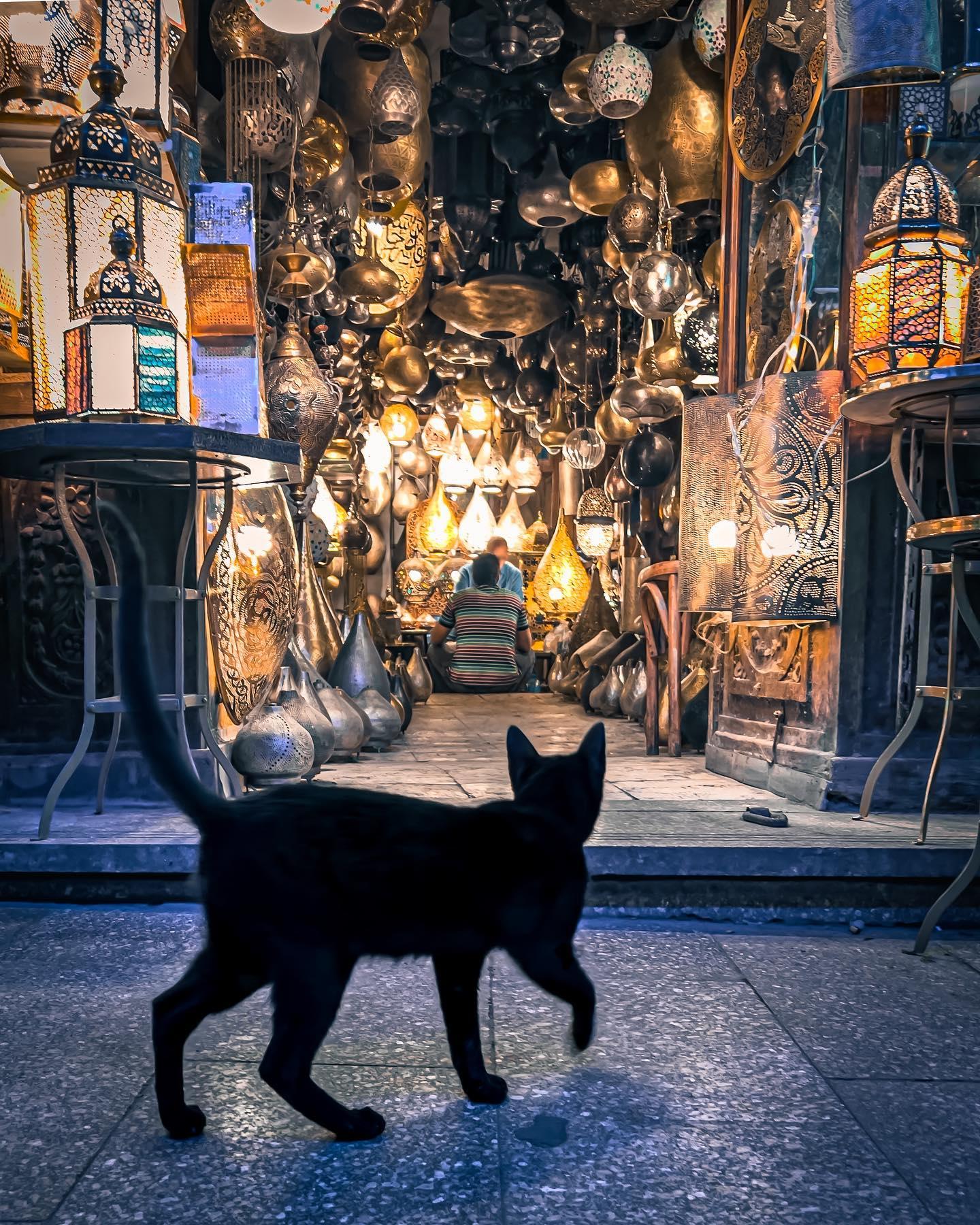 Sorry, no caption provided by author