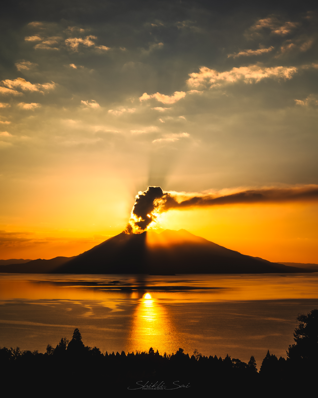 Sorry, no caption provided by author