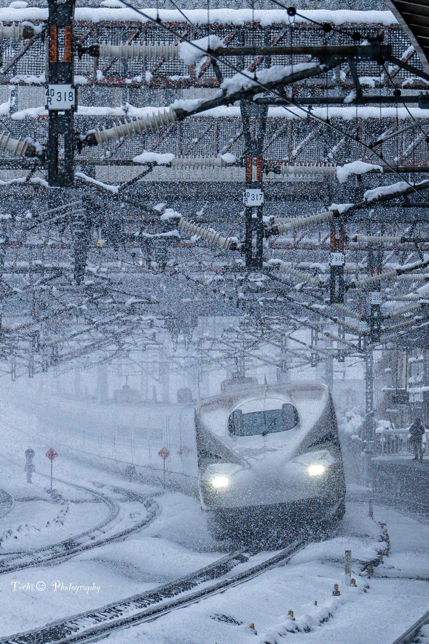 Sorry, no caption provided by author