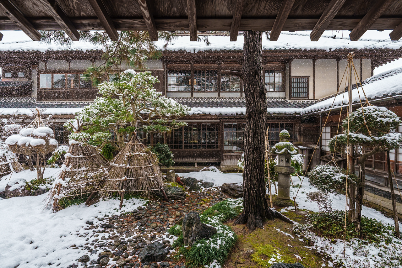 Sorry, no caption provided by author