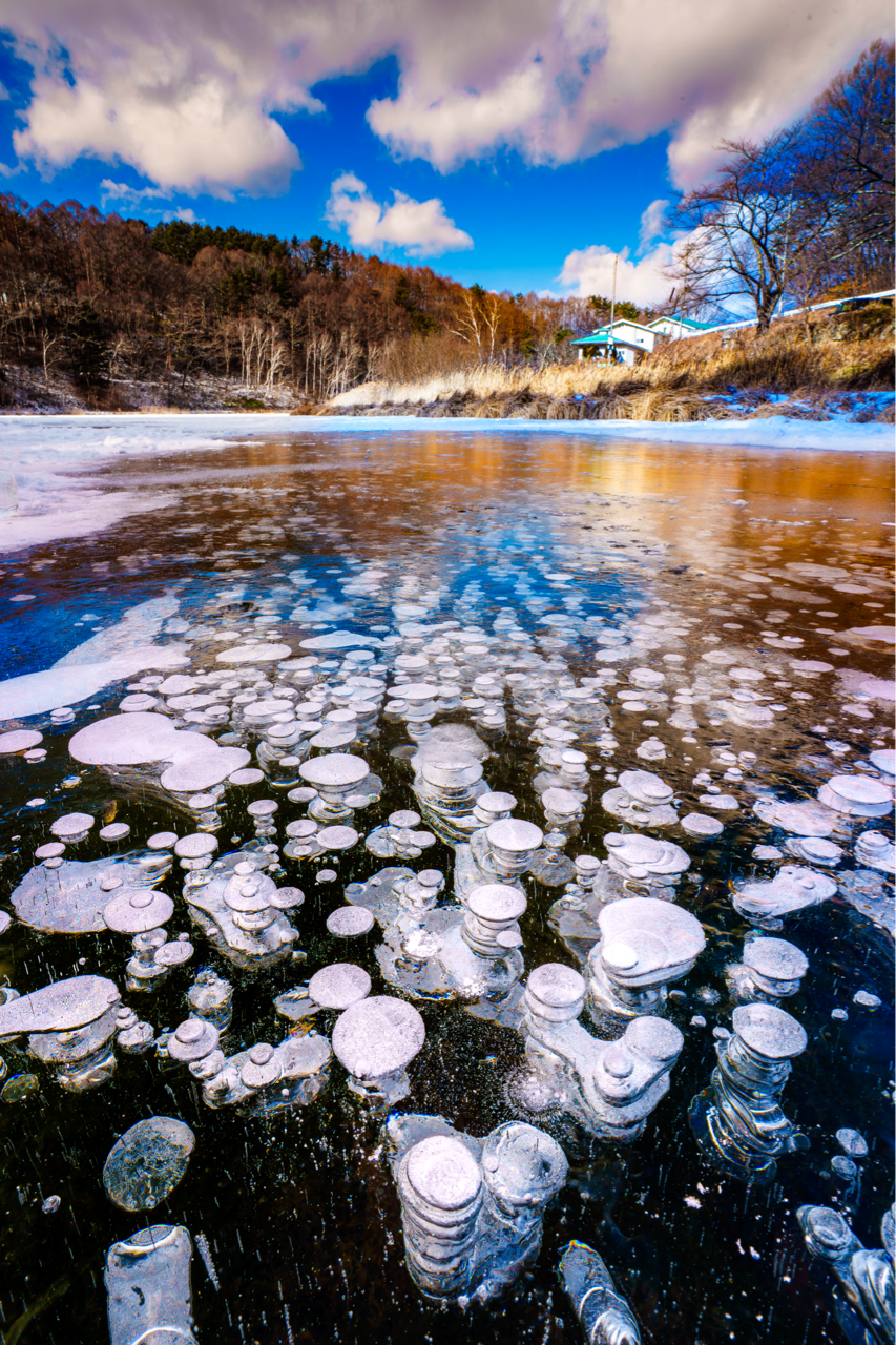 Sorry, no caption provided by author