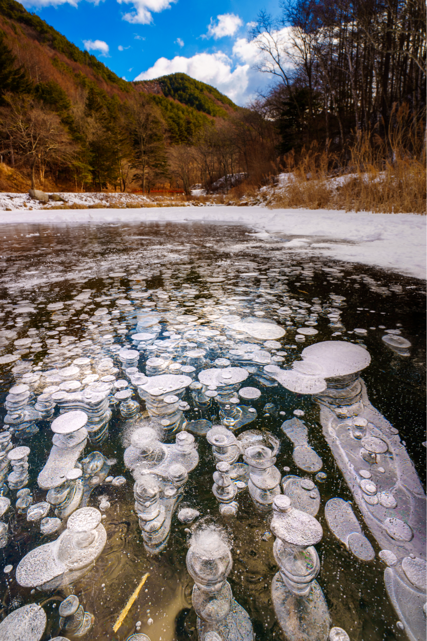 Sorry, no caption provided by author