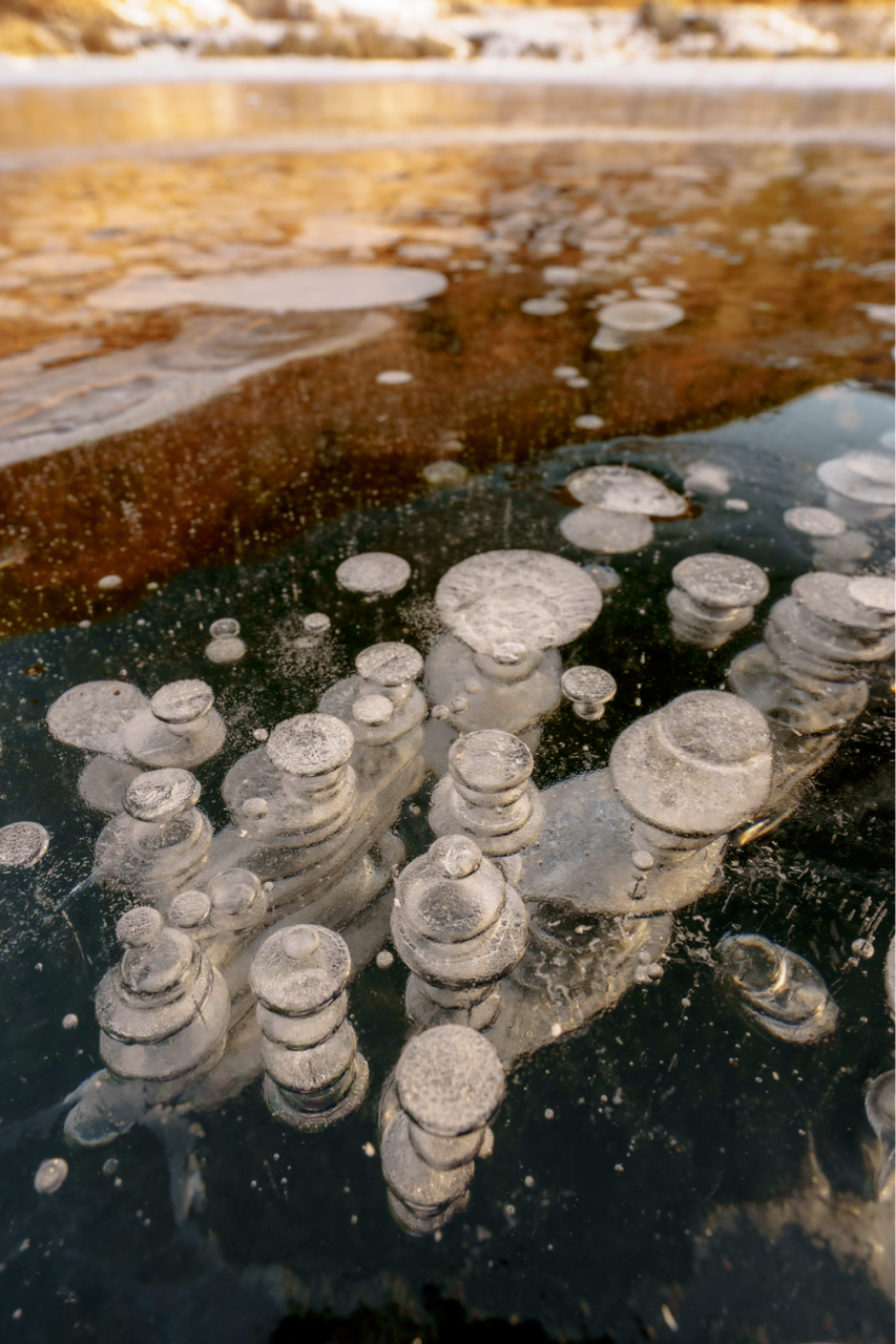 Sorry, no caption provided by author