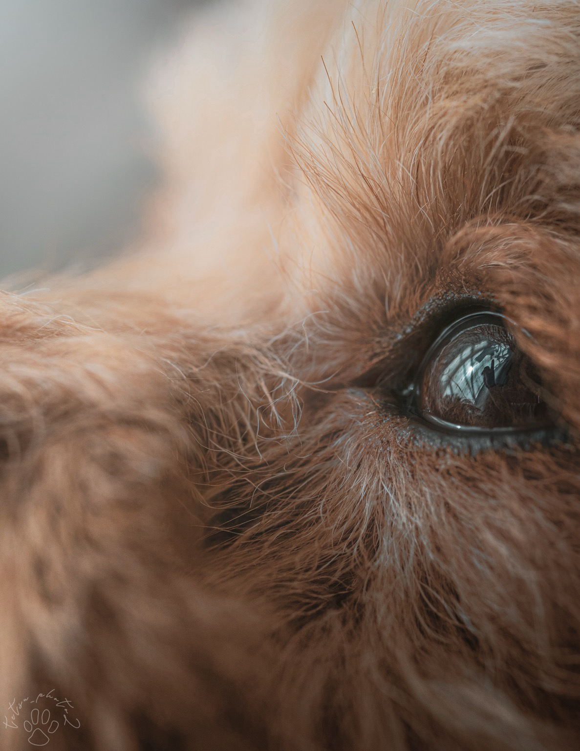 Sorry, no caption provided by author