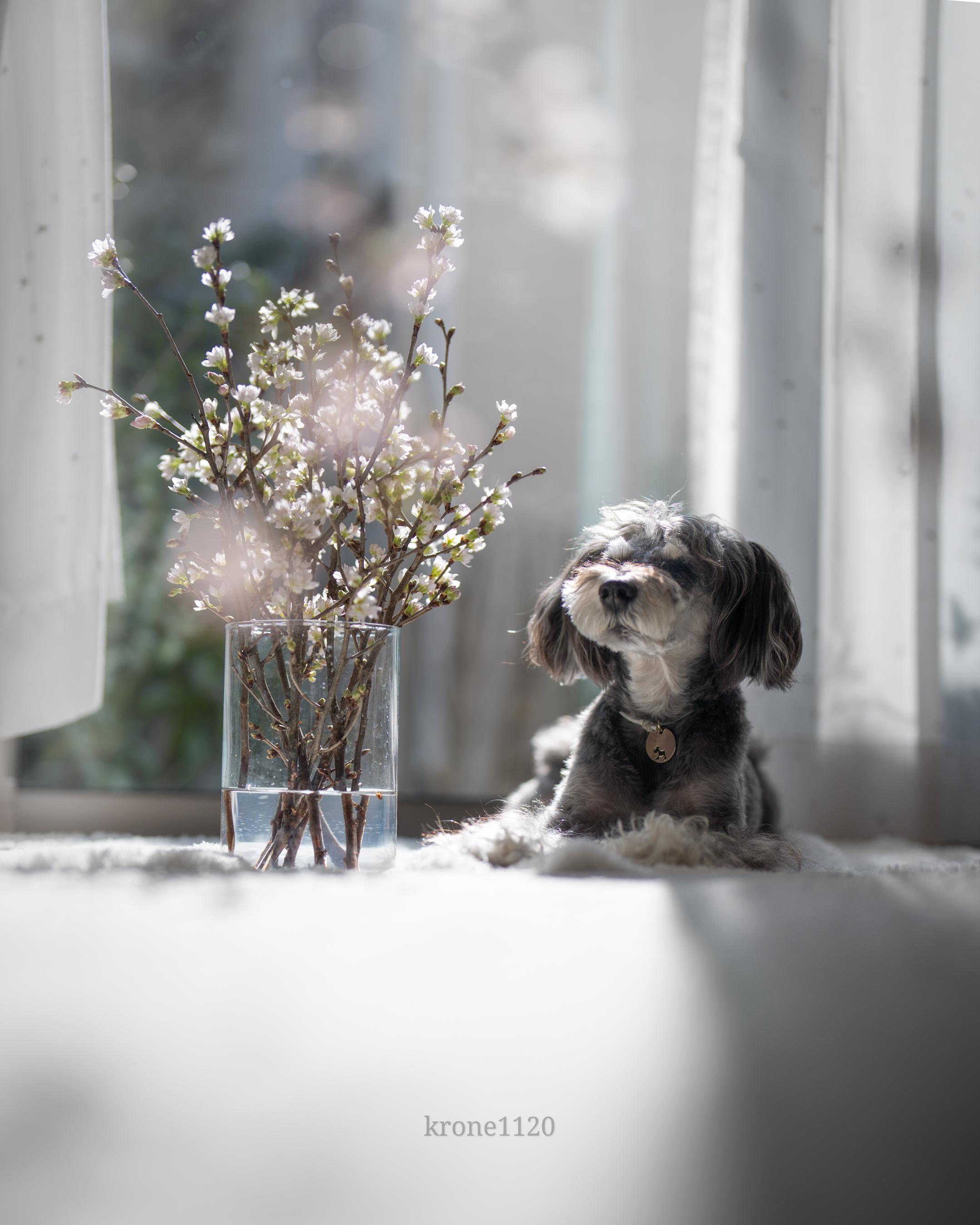 Sorry, no caption provided by author