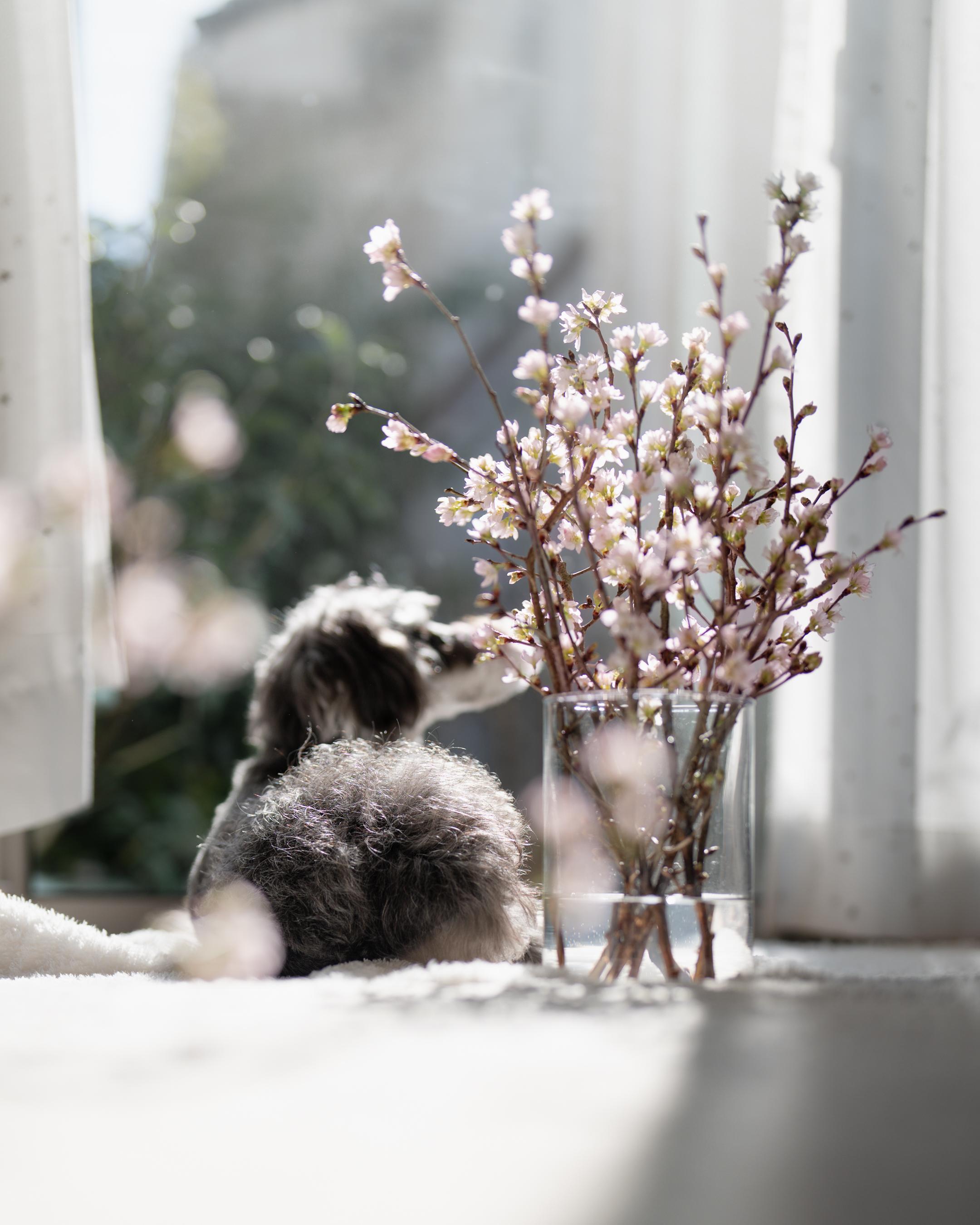 Sorry, no caption provided by author