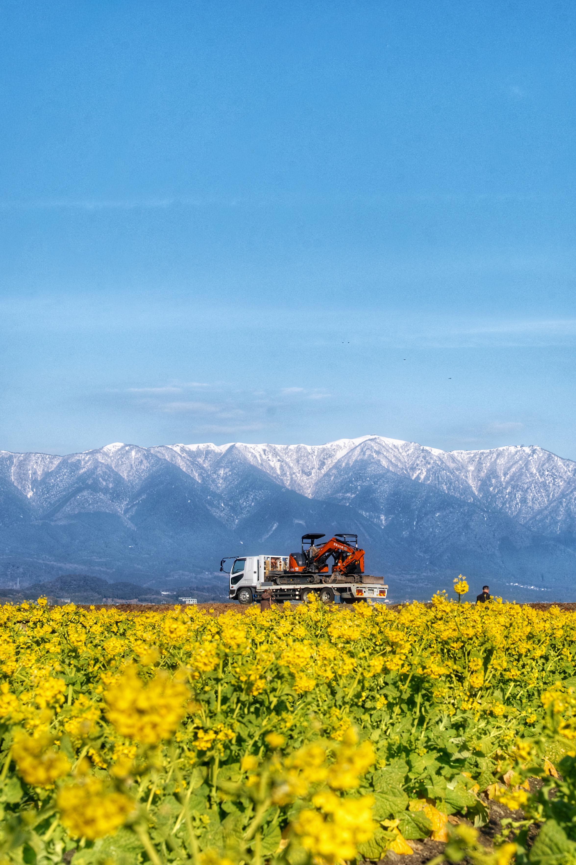 Sorry, no caption provided by author