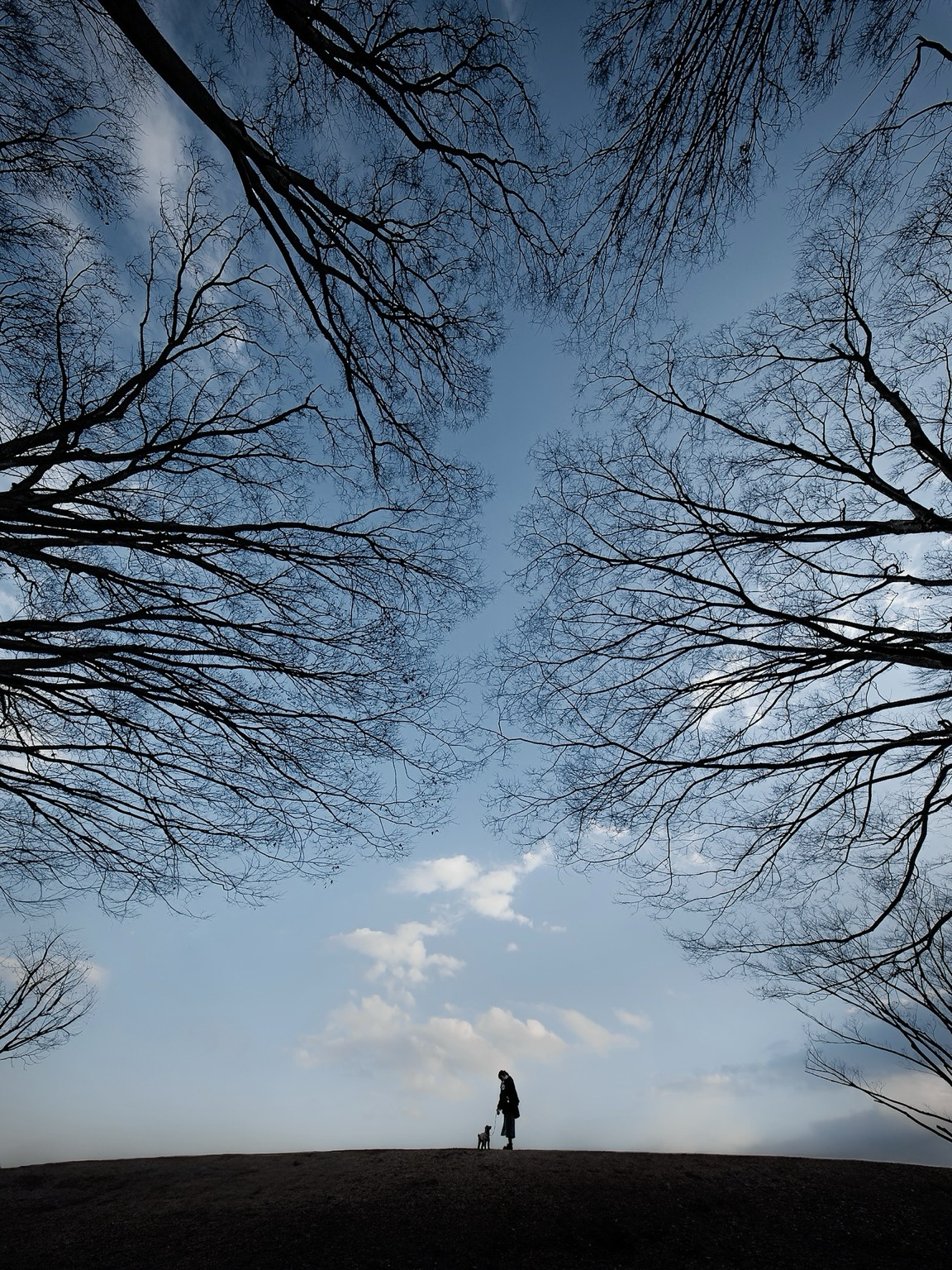 Sorry, no caption provided by author