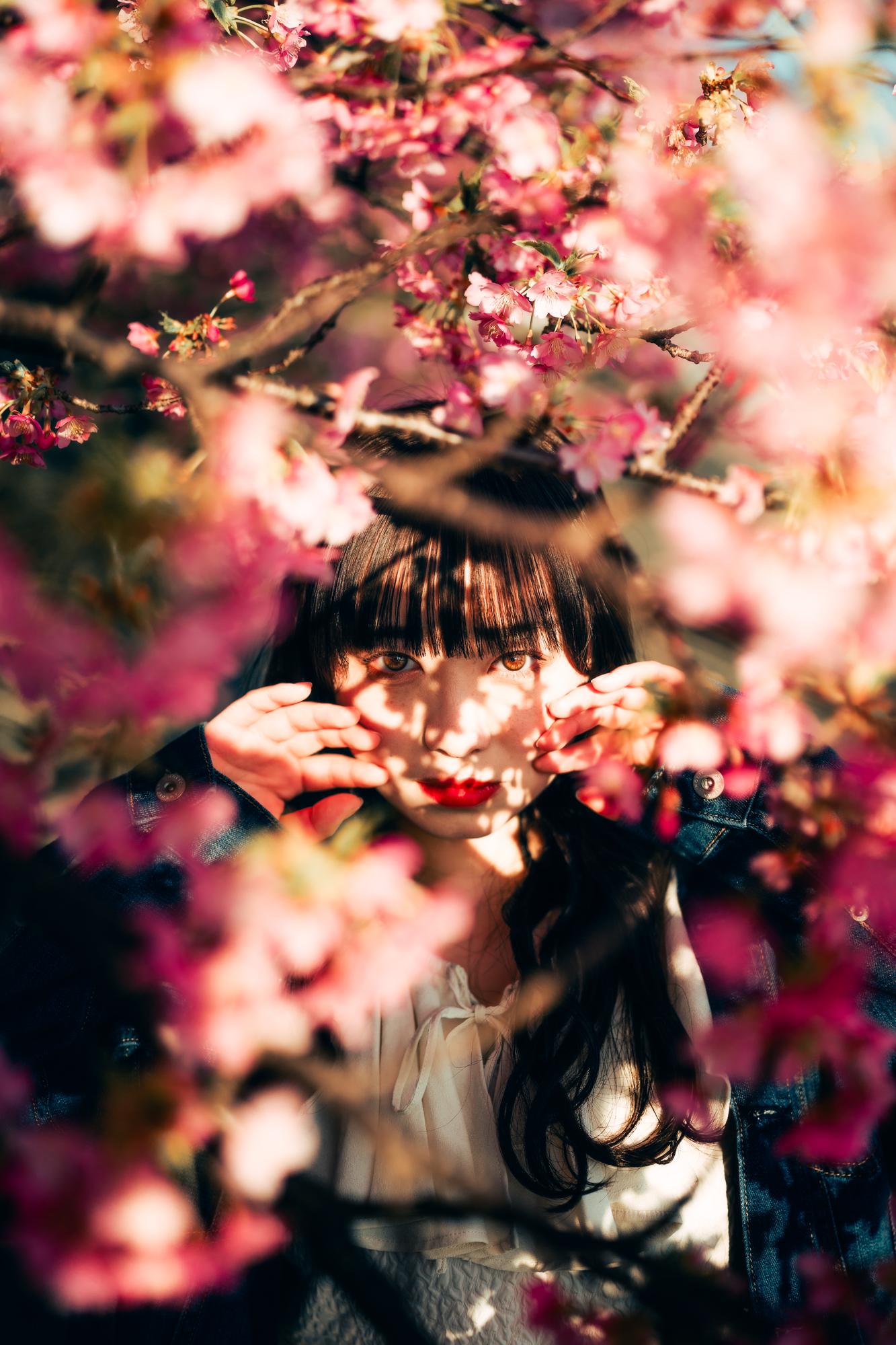 Sorry, no caption provided by author